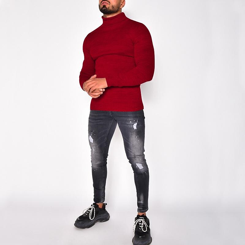 Pull col roulé homme en tricot uni basique