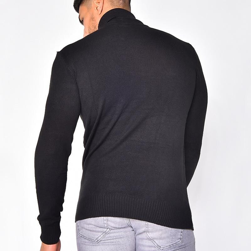 Pull col roulé homme en tricot uni basique
