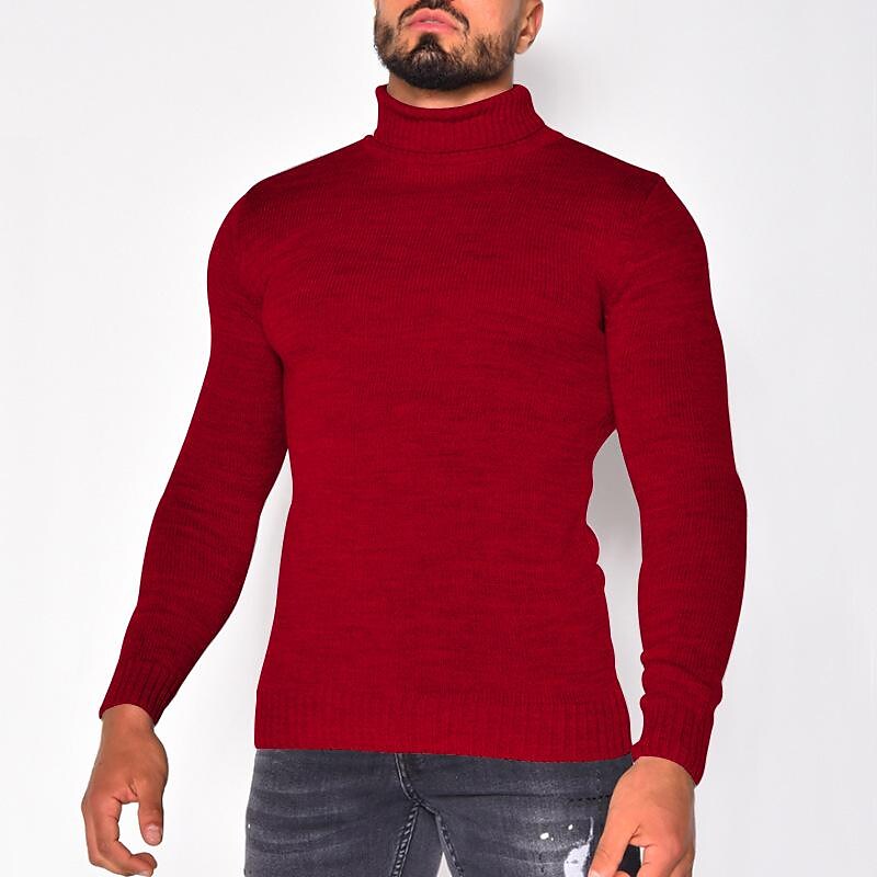 Pull col roulé homme en tricot uni basique